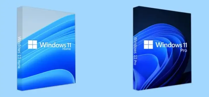 Windows 11 Pro Vs Home